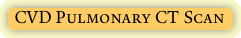CVD Pulmonary CT Scan