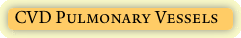 CVD Pulmonary Vessels