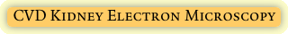 CVD Kidney Electron Microscopy