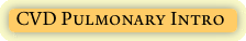 CVD Pulmonary Intro